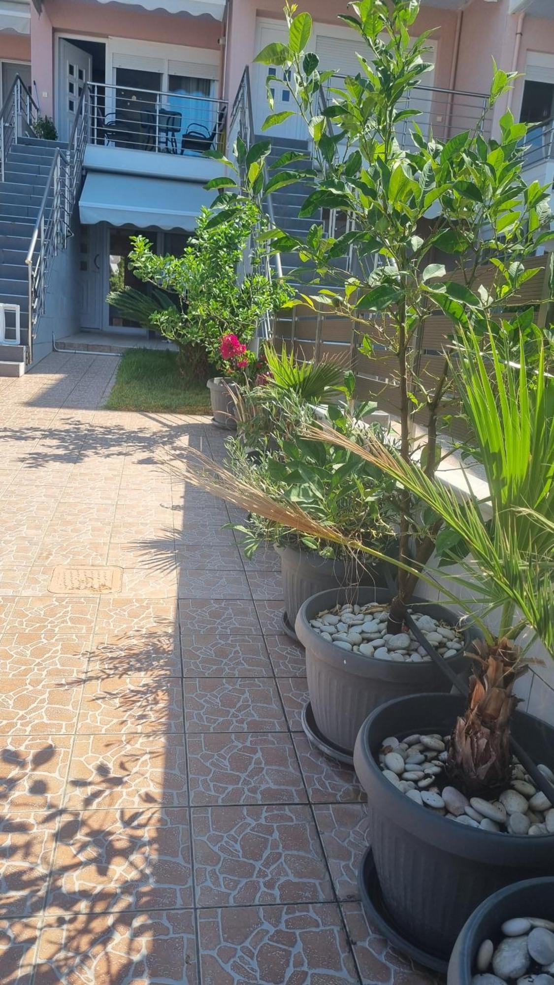 Ionian Dream Home Vrachos Bagian luar foto